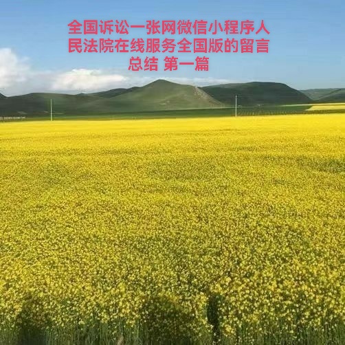 全国诉讼一张网微信小程序人民法院在线服务全国版的留言总结